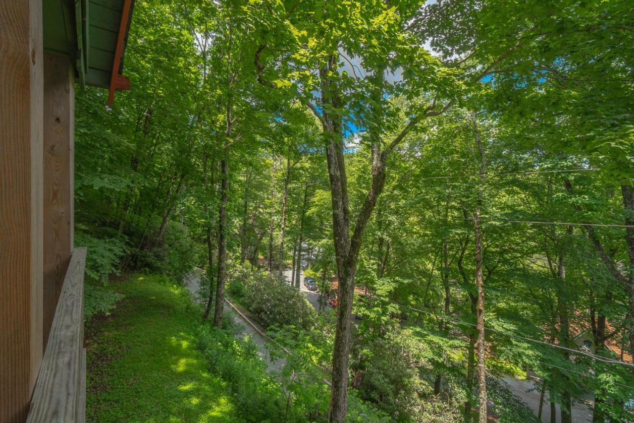 Swiss Mountain Village Blowing Rock Esterno foto